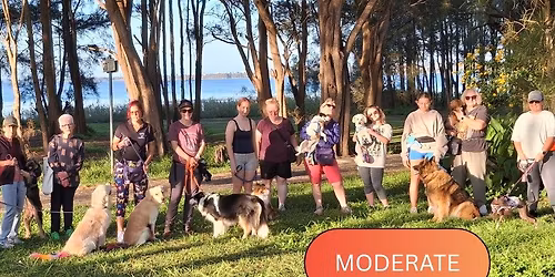 Ewen Howlett Reserve Berkeley Vale Walk 4PM