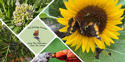Native Plants: Building a Garden for Pollinators & Wildlife
