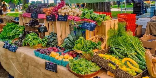 Farmer's Market Fresh Class