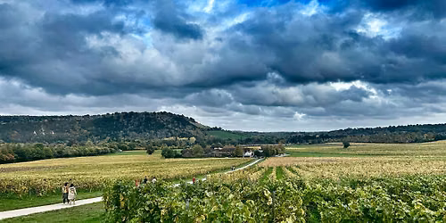 Hiking Box Hill, Juniper Top and the River Mole Stepping Stones