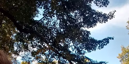 Titus Waldenfels @ Bucentaur Kulturcaf\u00e9 Starnberg