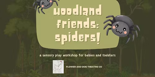 Woodland Friends: Spiders