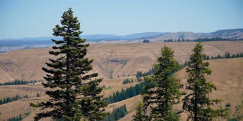 Wildfire and Insurance Coverage: A Changing Risk Landscape