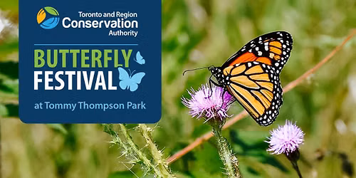 TRCA Butterfly Festival