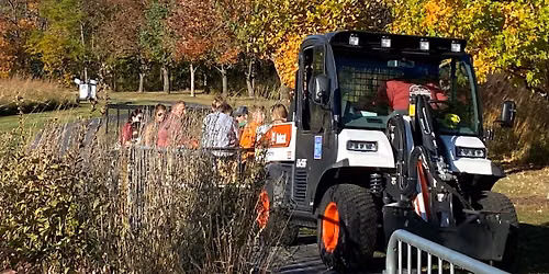 Fantastic Fall Fest