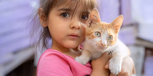 \u041e\u0442\u043a\u0440\u0438\u0432\u0430\u043d\u0435 \u043d\u0430 \u0444\u043e\u0442\u043e\u0438\u0437\u043b\u043e\u0436\u0431\u0430 \u201e\u041a\u043e\u0440\u0435\u043d\u0438 \u0438 \u041a\u0440\u0438\u043b\u0435\u201c \u0432 \u0421\u0442\u0430\u0440\u0430 \u0417\u0430\u0433\u043e\u0440\u0430