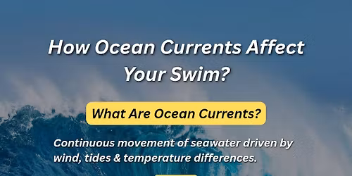 sindhudurg swimathon 2025