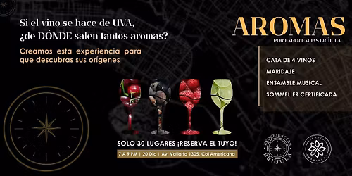 Guadalajara: Cata sensorial de 4 vinos, maridaje, m\u00fasica y sommelier