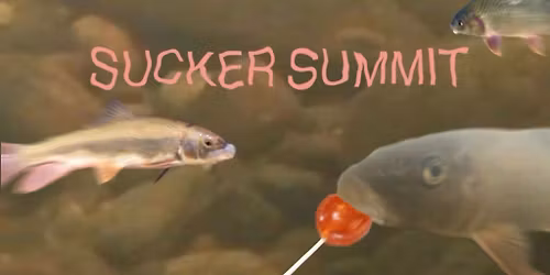 Sucker Summit