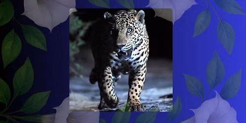 The Jaguar's Footprint: Stories of Rewilding