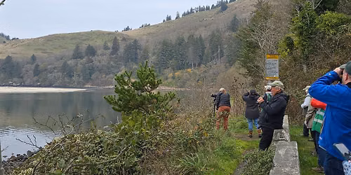 Lincoln City Bird Walk - Salmon River in the Cascade Head Scenic Area