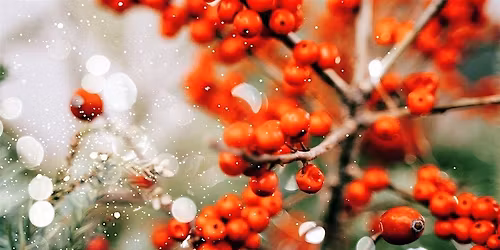 Newcastle Christmas Encounter