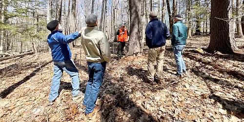 Reading the Forested Landscape