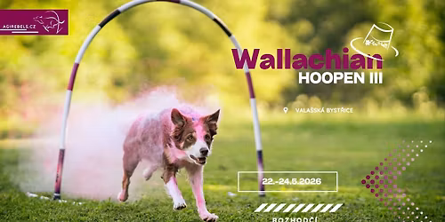 Wallachian HoOPEN III - International hoopers competition