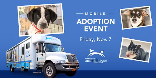 Mobile Pet Adoption Event! Meet Adoptable Dogs, Cats, Puppies, & Kittens