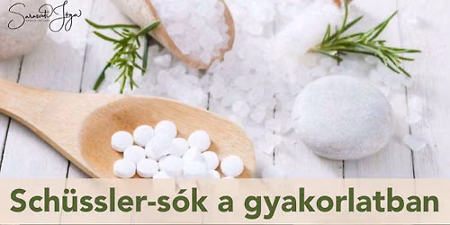 Sch\u00fcssler-s\u00f3k a gyakorlatban workshop
