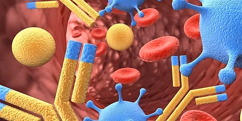 Myth Busting the Immune System