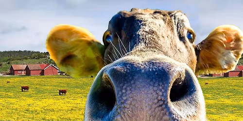 \ud83e\udd8c Deer Widow Weekend at Vern\u2019s Cheese \u2013Wine, cheese, and maybe a little mischief