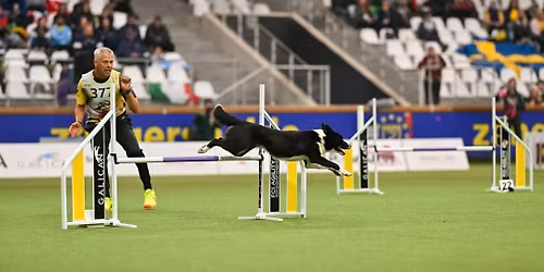 Seminarie Andy De Groote 