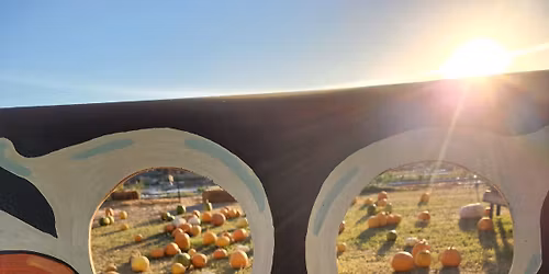 Fall Festival