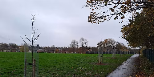 Tree Planting - Mather Rd Recreation Ground
