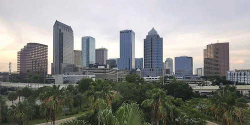 Tampa Business Networking \u2014 Connect, Grow & Be Inspired