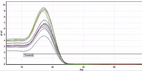Quantitative PCR (adult course for ages 13 and up)