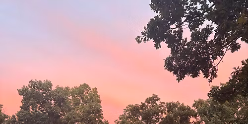 Forest Foraging \ud83c\udf33