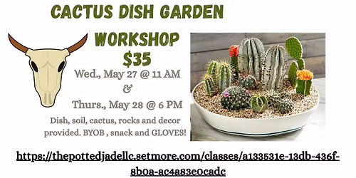 Cactus Dish Garden