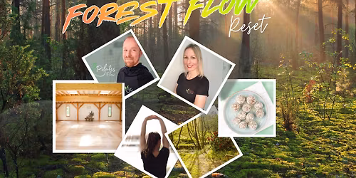 Forest Flow Reset