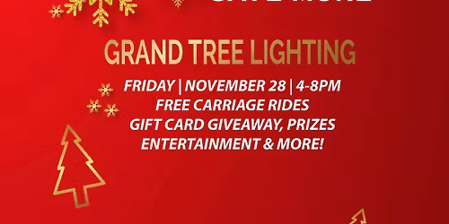 ANNUAL CHRISTMAS TREE LIGHTING