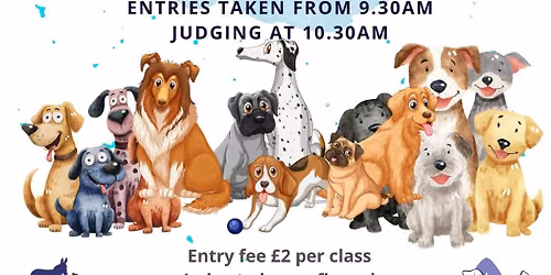 Northdale charity dog show 