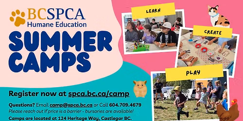ASD Enhanced-Support Mini Camp (Ages 8-12)