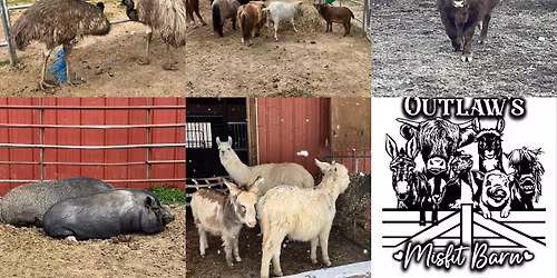 Spring Open Barn Fundraiser 
