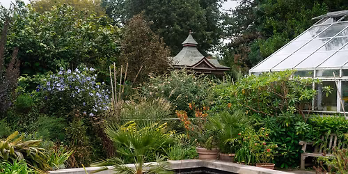 Nature\u2019s Workshop: Nature Bathing and Crocheting