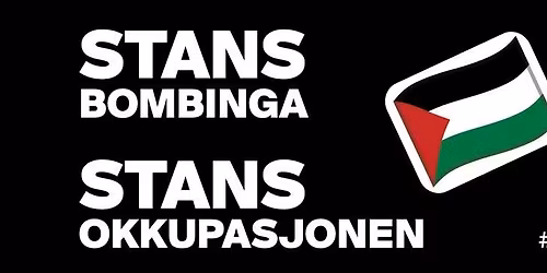 Fakkeltog for Palestina \ud83c\uddf5\ud83c\uddf8 