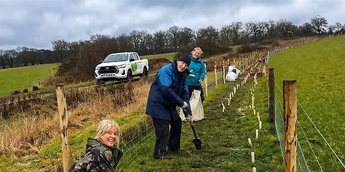 Epping Forest Conservation volunteering