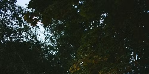 White Elephant Game Night