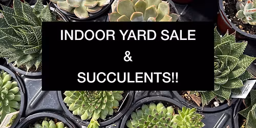 Indoor Yard Sale + Succulent Garden