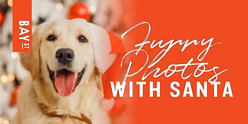 Furry Photos: Pet Photos with Santa