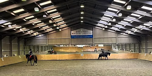 Flatwork with Becci Hadley at Stretcholt, Tuesday 11th August