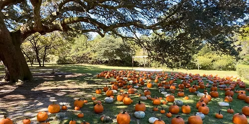 Miss K's Dance Bungalow: One Night Only