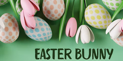 Easter Bunny Hop & Shop
