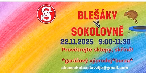 Ble\u0161\u00e1ky v sokolovn\u011b