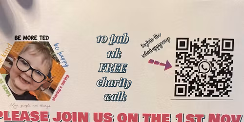 10 Pub 11k Charity Walk (BE MORE TED)