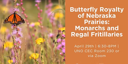 Butterfly Royalty of Nebraska Prairies: Monarchs and Regal Fritillaries