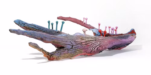 November Exhibitions Launch at Umbrella