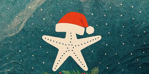 Seaside Christmas at the Seaforth Hall 2025