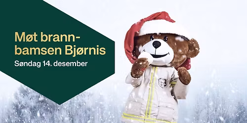 M\u00f8t Bj\u00f8rnis