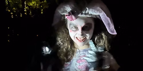 A Twilight Trail - Witchlight